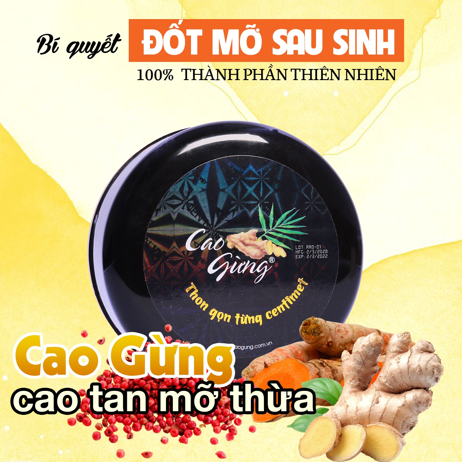 14329-post-app-1077-122903089-768254873906166-6978078184353137899-o-9.jpg Cao Gừng Tan Mỡ Bụng Thiên Nhiên Việt 250g Phiên Bản 2025 - Tặng Cao Gừng Nghệ Đỏ - 8936079033002