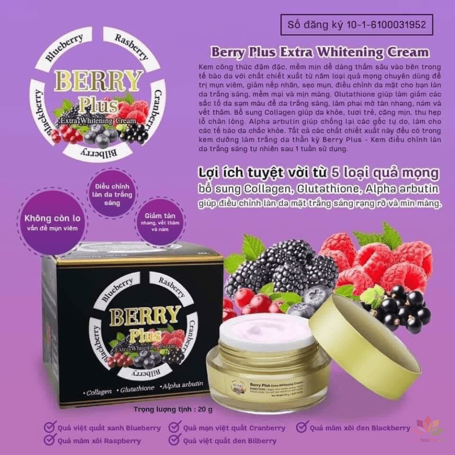 Kem face trị nám Berry Plus Extra