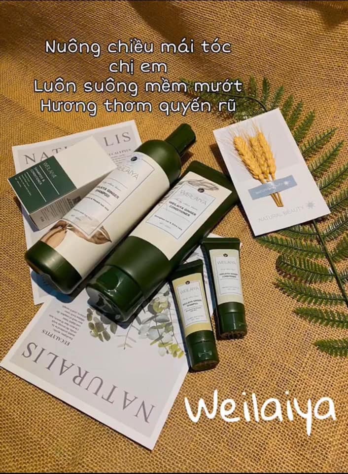 15100-124100758-2257634111049203-3012328690512872929-n-4.jpg Combo bộ dầu gội xả Weilaiya mọc tóc chiết xuất gừng xả - 6971025880370