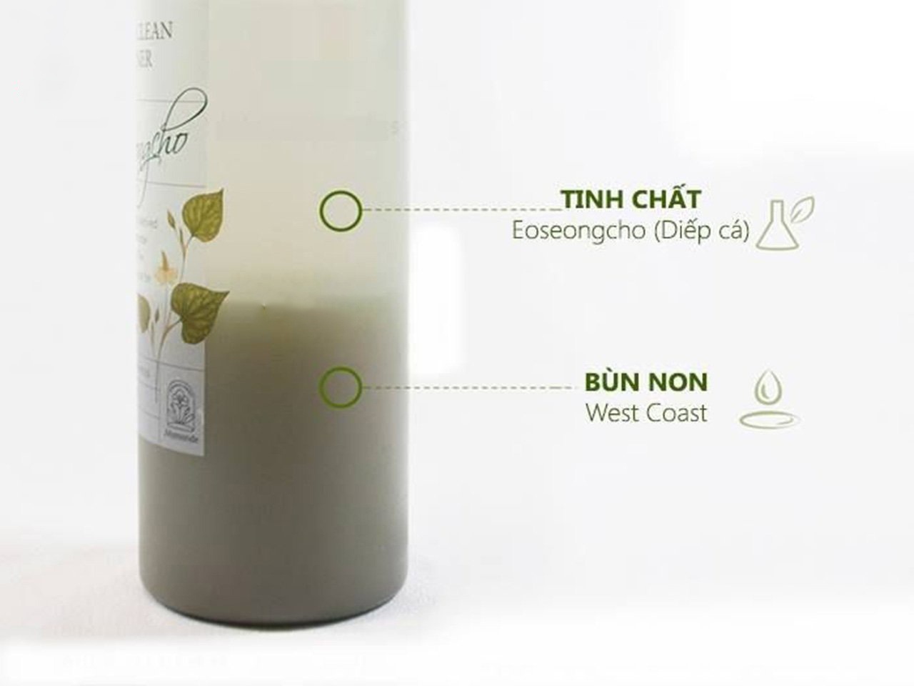 Nước hoa hồng diếp cá Mamonde kiểm soát nhờn cho da dầu 250ml Nước hoa hồng diếp cá Mamonde kiểm soát nhờn cho da dầu 250ml