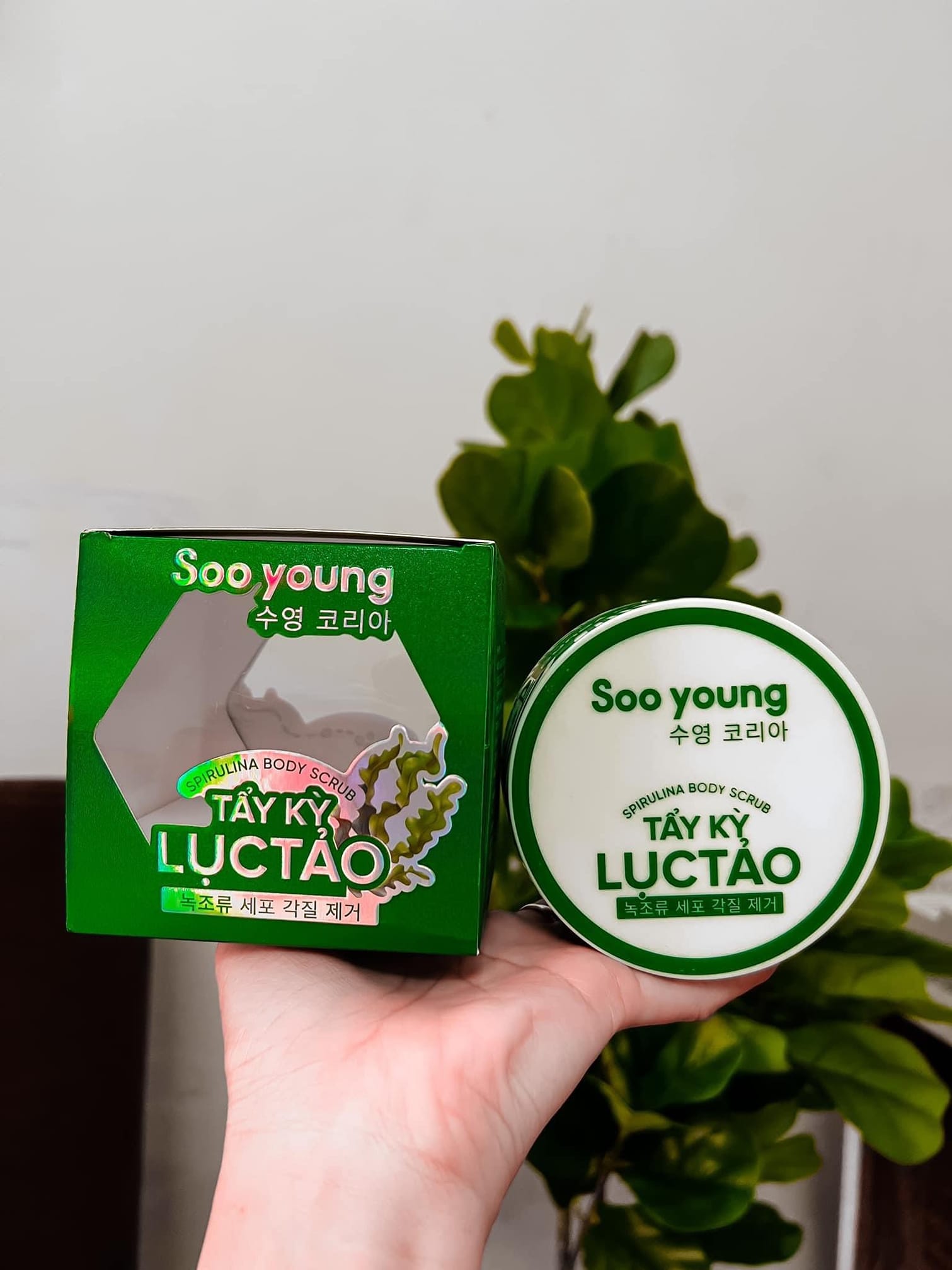 16501-278272471-414544923818090-1013408256974353064-n-1.jpg Tẩy Kỳ Lục Tảo Soo Young - 8938532152092