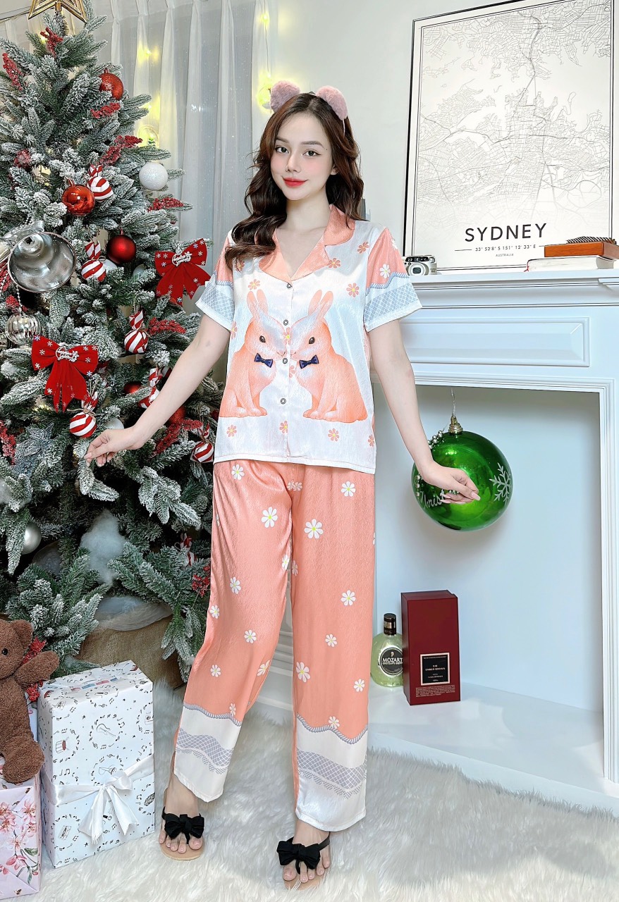 Đồ bộ pijama nữ tay ngắn in hình - Kho Hàng Sỉ ANN
