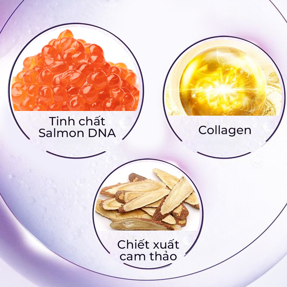 18832-336105349-230449389440728-742737149357009096-n-2.jpg Kem Face DNA Pro Cá Hồi Collagen Cream V2 Meea Origin Mini 10g - 8938534672146