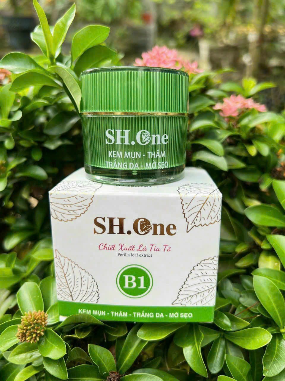 Mua sỉ kem Face Mụn Thâm B1 SH One Xanh Chiết Xuất Lá Tía Tô Mua sỉ kem Face Mụn Thâm B1 SH One Xanh Chiết Xuất Lá Tía Tô