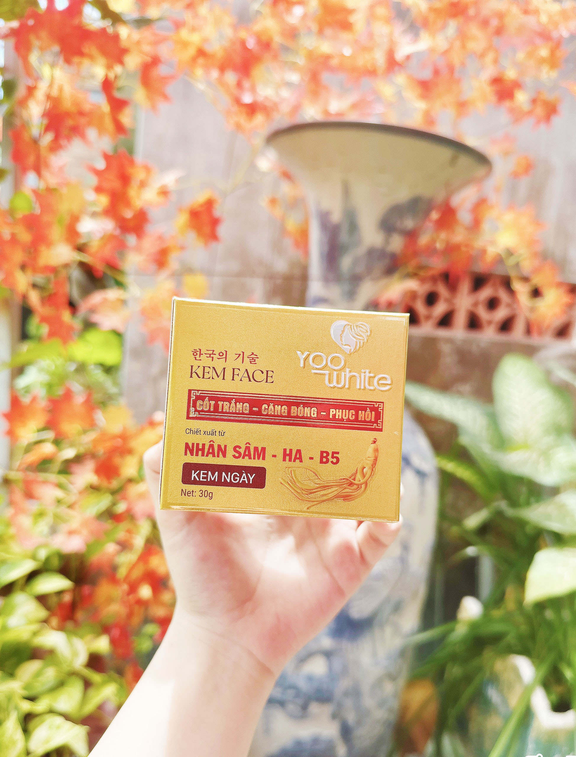 19963-z4442872791179-422922e649617ddb4cc35f9cbd314914-1.jpg Kem Face Cốt Trắng Nhân Sâm Yoo White - COTTRANGYW