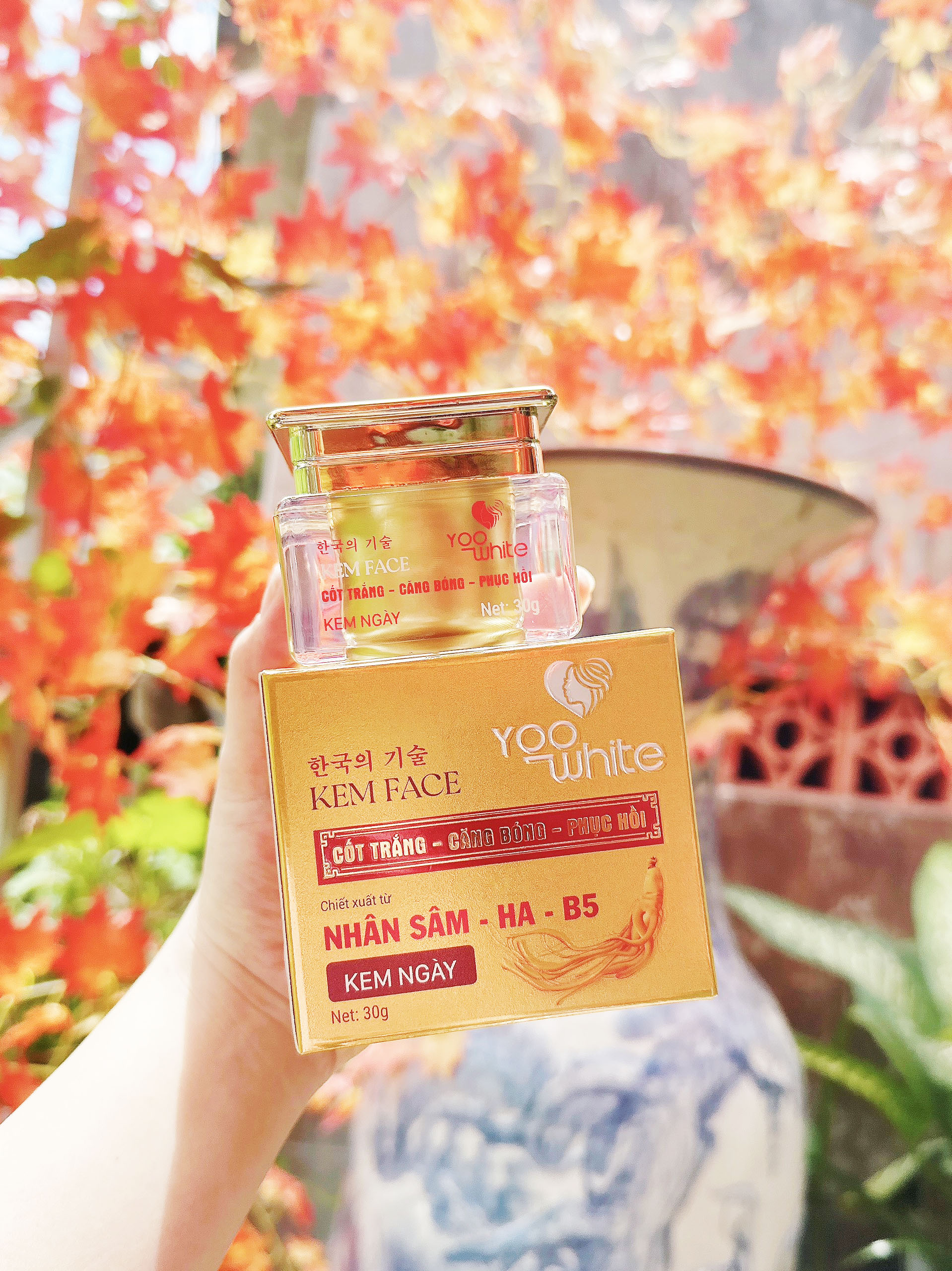 19963-z4442872805338-f22bcd7e44258bd64566ef4df7fe974d-1.jpg Kem Face Cốt Trắng Nhân Sâm Yoo White - COTTRANGYW