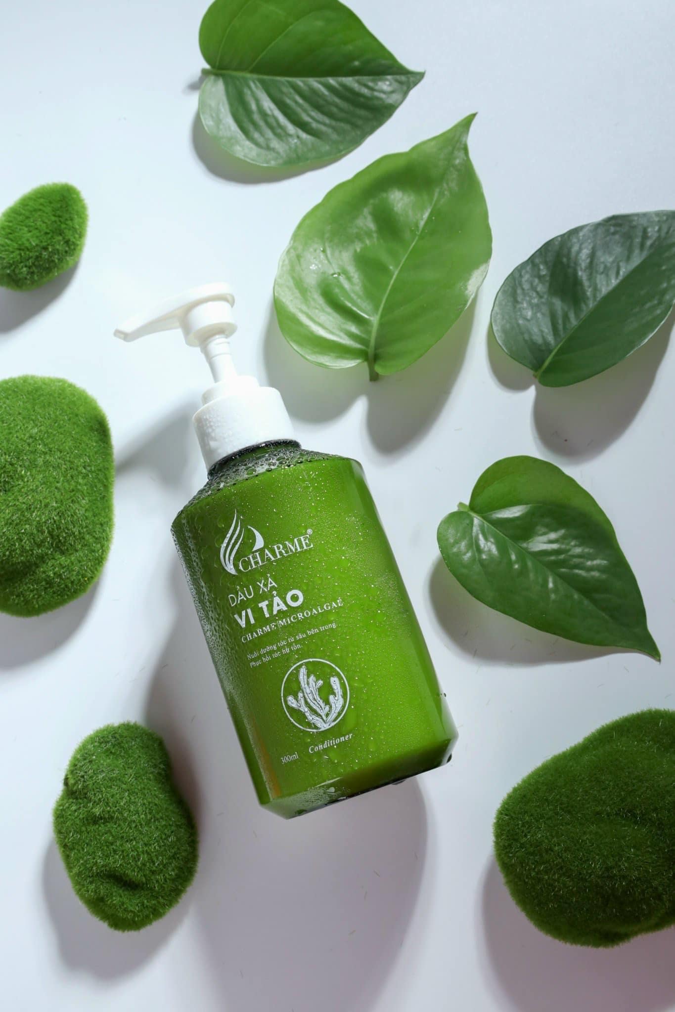 20657-362949797-3563942770493694-4741838215361201821-n-1.jpg Combo Gội Xả Vi Tảo Charme Tặng Xịt Tóc - GOIXACHARME01