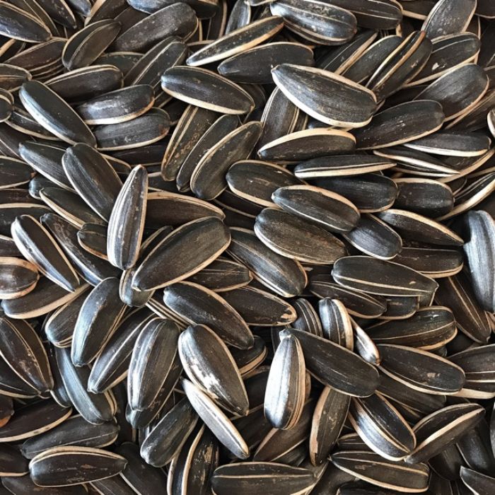 22760_hat-huong-duong-700x700_20241114111310-5.jpg Hộp Quà Tết Hạt Hướng Dương 300g - Hộp Ovan Hộp Quà Tết 2026 - HHDHO