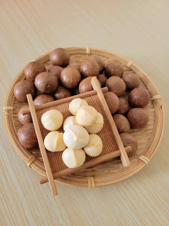 23369_macca-5_20241114174607.jpg Hộp Quà Tết Set Hạt Dinh Dưỡng Tam Vị 350g - Hộp Sun Khía - SHDD3VHK