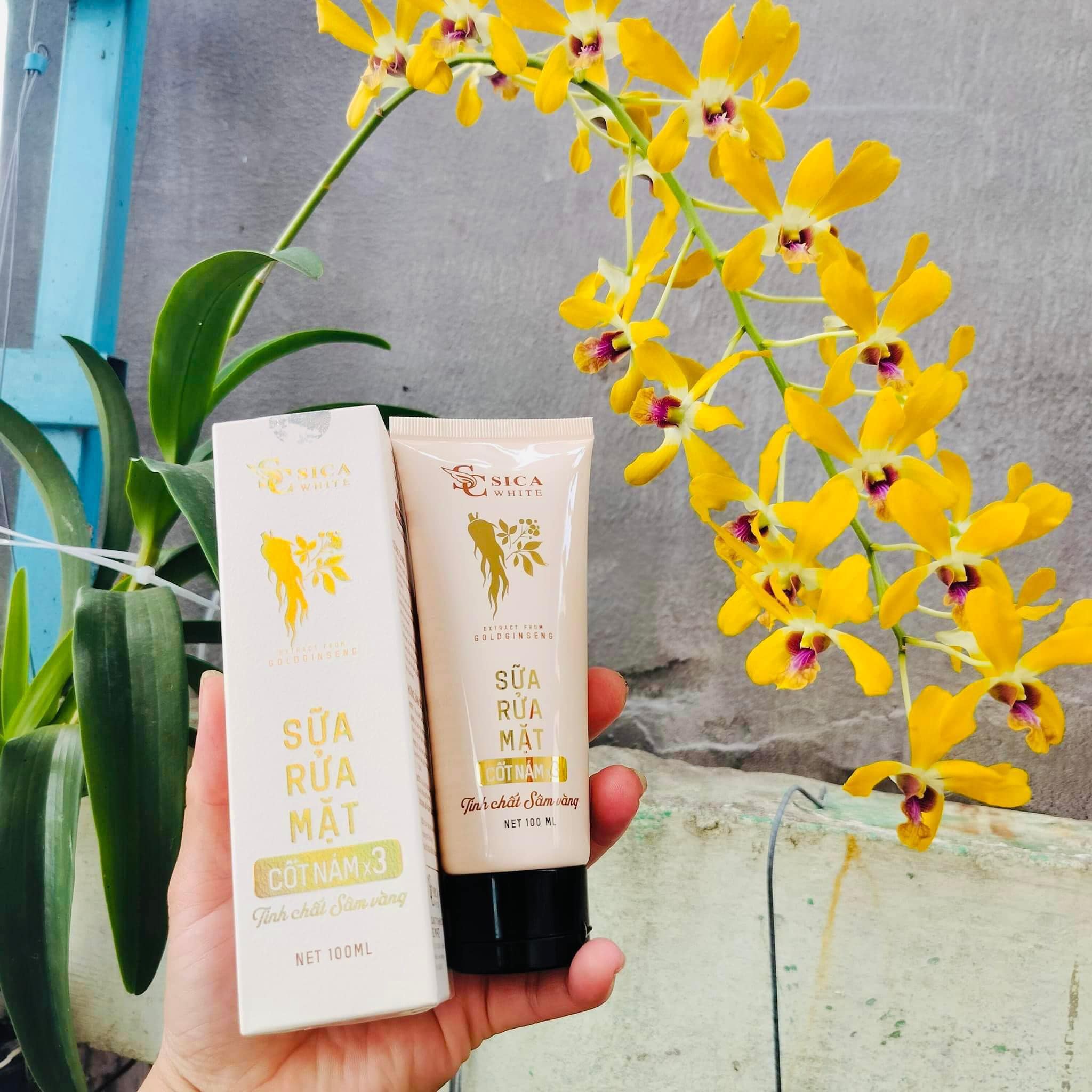 Sữa Rửa Mặt Sica White Cốt Nám X3 Tinh Chất Sen Vàng Sữa Rửa Mặt Sica White Cốt Nám X3 Tinh Chất Sen Vàng