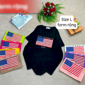 Áo Thun Nữ Cổ Tròn Form Rộng In Hình Size L(55-75kg) - AG1224L