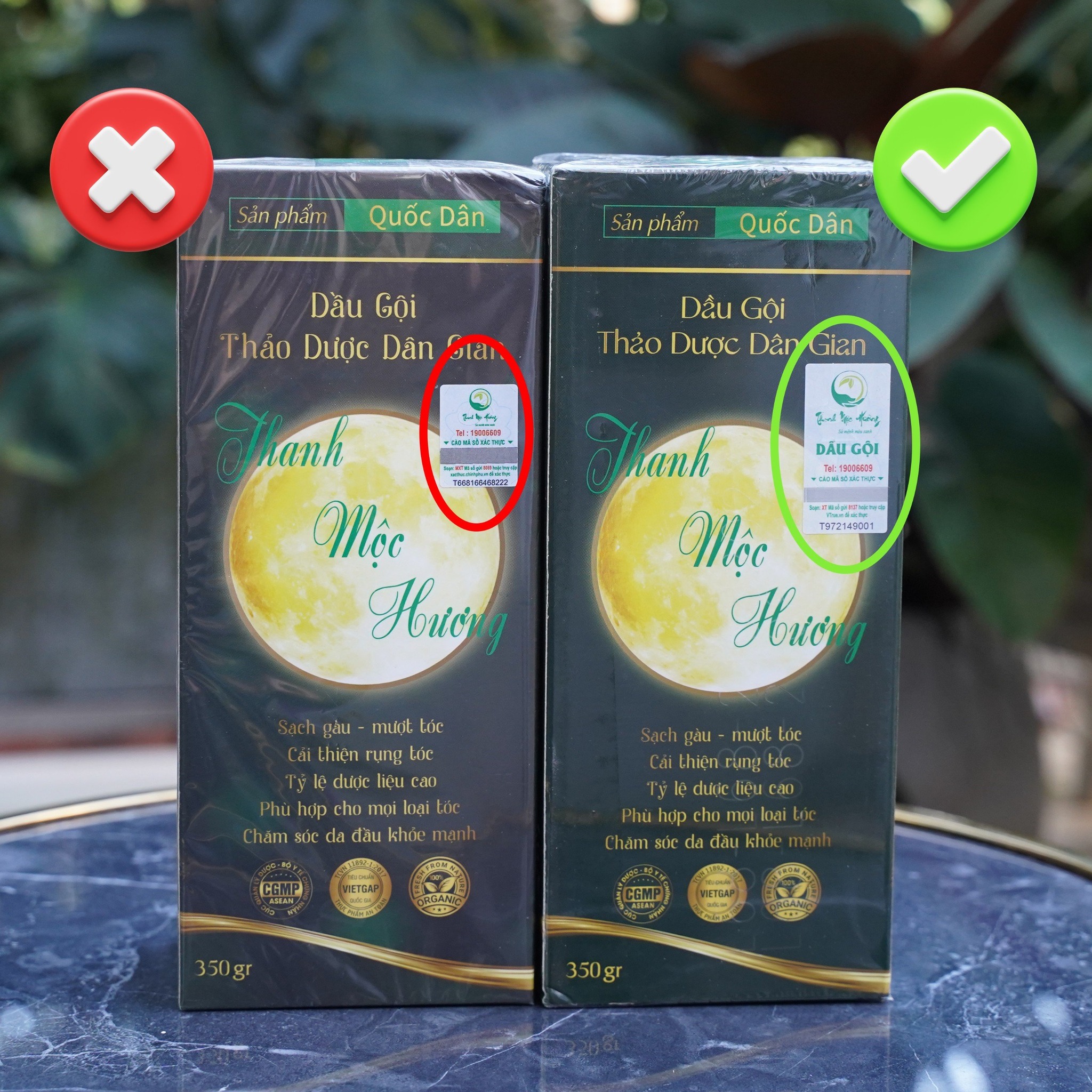 23889_409872366-876736613909003-1389101757851591770-n_20240407092456-1.jpg Dầu Gội Thảo Dược Thanh Mộc Hương 350gr - 8938525657152