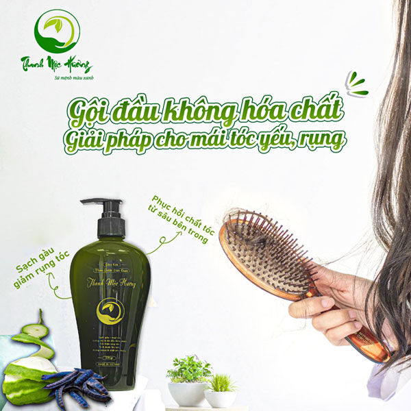 23889_dau-goi-thanh-moc-huong-2_20240407092455-1.jpg Dầu Gội Thảo Dược Thanh Mộc Hương 350gr - 8938525657152