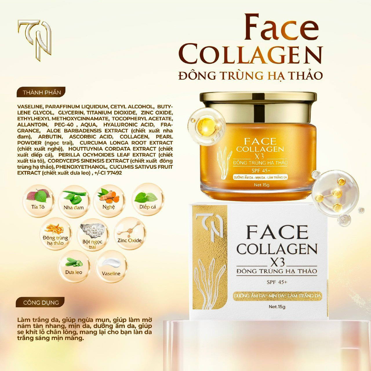 Kem Face Collagen X3 TN Đông Trùng Hạ Thảo Mỹ Phẩm Đông Anh 15g Kem Face Collagen X3 TN Đông Trùng Hạ Thảo Mỹ Phẩm Đông Anh 15g