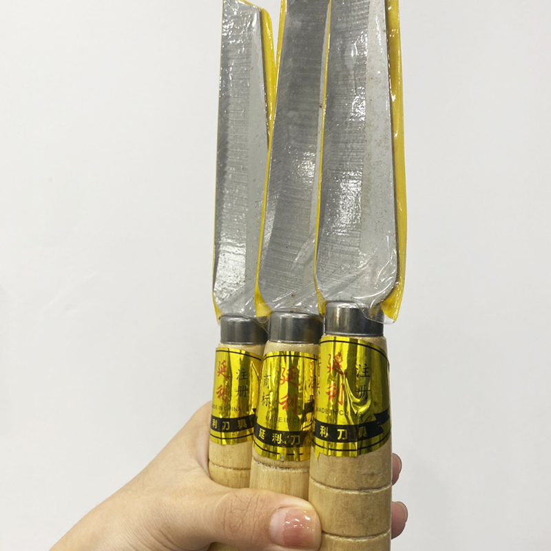 24813_z5722594719495-8dfbd715b8ec95e27ed85aa4d3f6ec76_20240812102157-3.jpg Dao Gọt Hoa Quả - Dao Gọt Trái Cây Sắt Bén - Dao Gọt Cán Gỗ Lưỡi Dao Bằng Thép Không Gỉ Size 21Cm - DGCG01