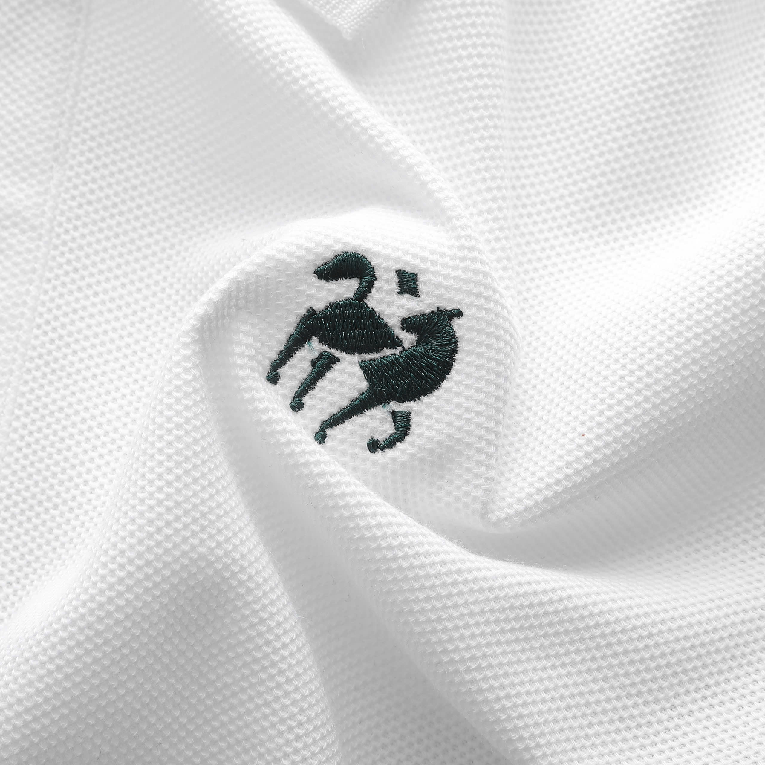 25802_z6058293186266-c60fd43282d812e6838ed5c05ac168f3_20241122151610-2.jpg Áo Thun Nam Cổ Bẻ PackHorse Thêu Nổi Logo Con Ngựa (Có size 3x) - CS239