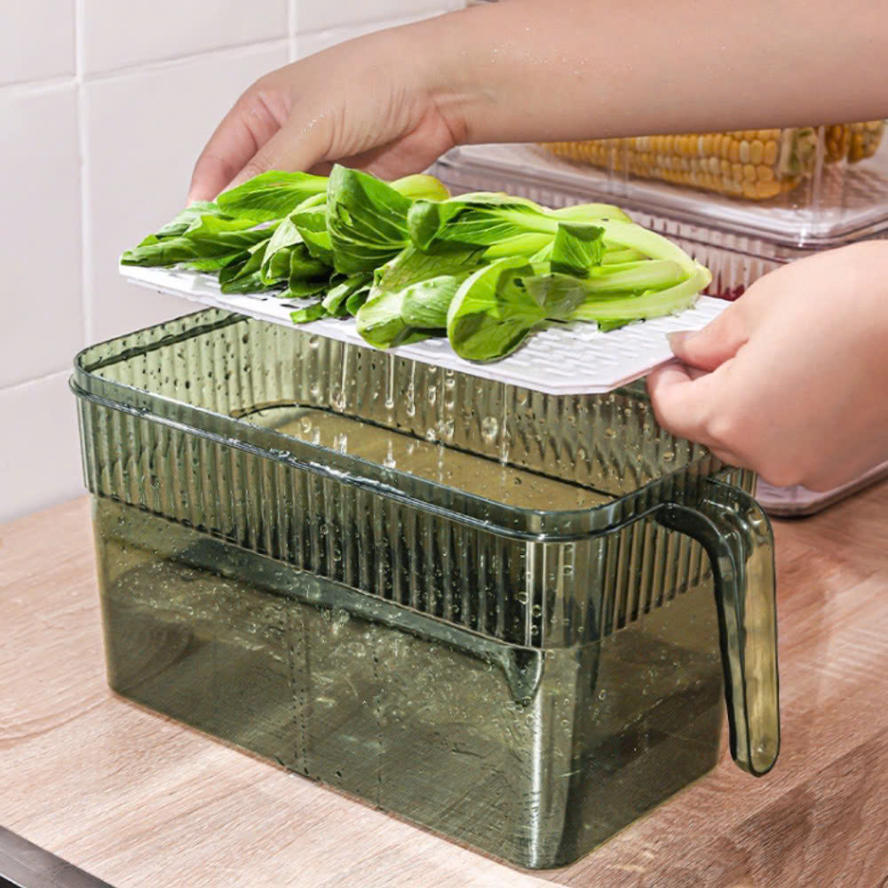 25923_z6219065553640-bbaf66c8f52692594304c09642a7b9c3_20250114095505-11.jpg Hộp Đựng Thực Phẩm Rau Củ Trái Cây Có Tay Cầm 28x13x13cm - HDTPCTC