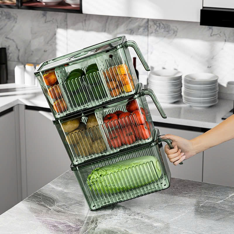 25923_z6219065573292-42d7345a9578a6fd62a68c70dd91a15d_20250114095506-11.jpg Hộp Đựng Thực Phẩm Rau Củ Trái Cây Có Tay Cầm 28x13x13cm - HDTPCTC