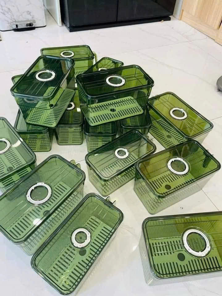 25923_z6219065620383-2091689426a080a5123c68d8d59eee25_20250114095508-11.jpg Hộp Đựng Thực Phẩm Rau Củ Trái Cây Có Tay Cầm 28x13x13cm - HDTPCTC