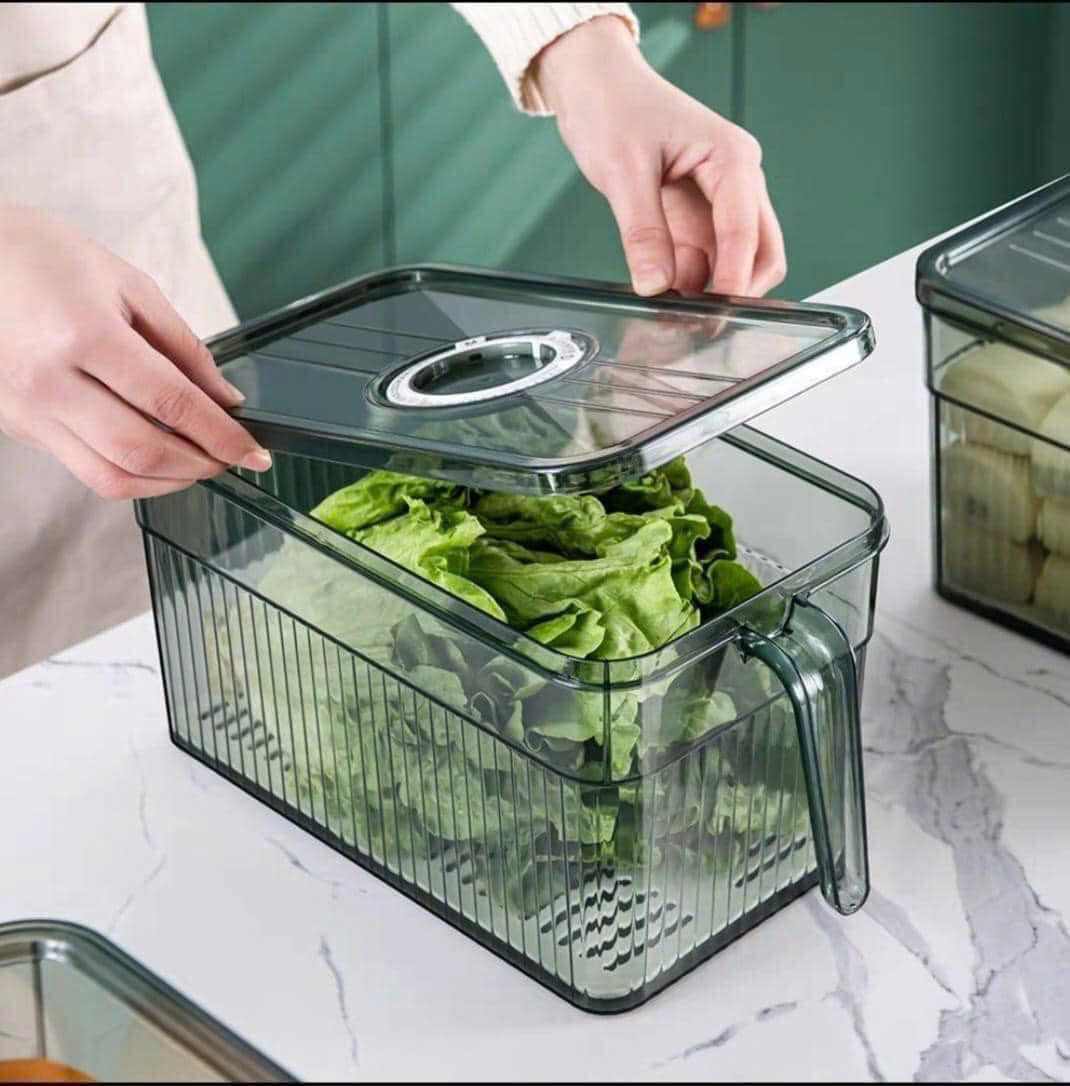 Hộp Đựng Thực Phẩm Rau Củ Trái Cây Có Tay Cầm 28x13x13cm Hộp Đựng Thực Phẩm Rau Củ Trái Cây Có Tay Cầm 28x13x13cm