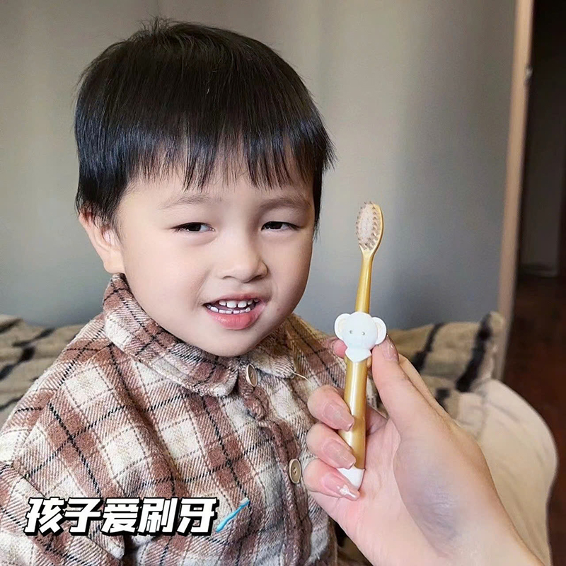 25926_z6219133146804-ee6501f7689bb8102530418993c38309_20250114103424-2.jpg Set 6 Bàn Chải Đánh Răng Cho Bé - BCDRCB