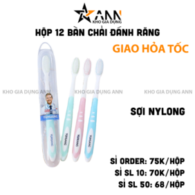 Hộp 12 Bàn Chải Đánh Răng - Bàn Chải Vệ Sinh Răng Miệng - 12BCDR