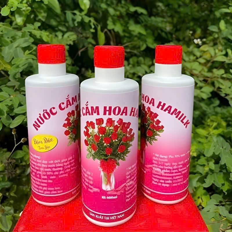 25982_z6230737516348-b119219a7844ff8ea5408f6dbb33e34c_20250117171333-2.jpg Nước Cắm Hoa Hamilk - Nước Giúp Hoa Tươi Lâu 14 Ngày 500ml - NLTH01
