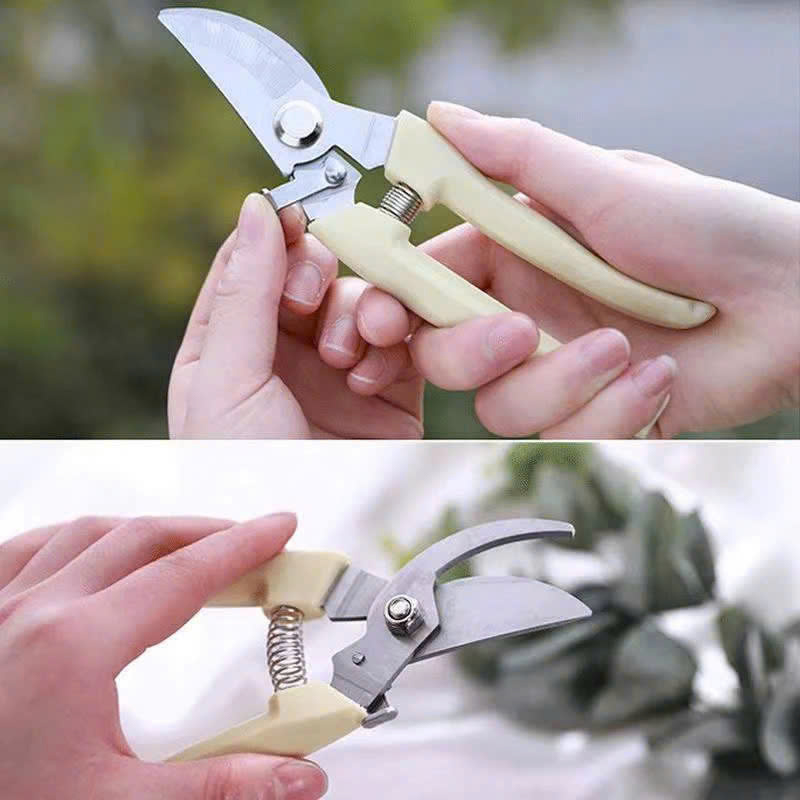 25998_z6233888035812-aa41ec6d90204a3b12c8165fd06b9e8b_20250118153009-2.jpg Kéo Cắt Cành Cây - Kìm Cắt Cành Kéo Cắt Tỉa Cành Cây Siêu Sắc 18.5cm - KCCC01