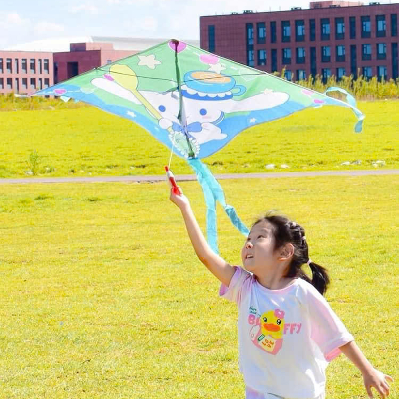 26099_z6251673438815-7a605ba0c2f3027dc63738ac4ac8fa96_20250206180858-2.jpg Diều Thả 3D Nhiều Mẫu Tặng Kèm Dây 50m - Diều Cho Trẻ Em 120x170cm - DT01