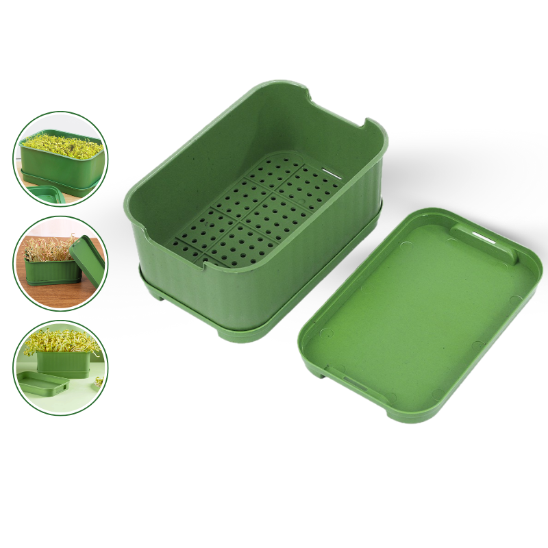 Nguồn sỉ khay Trồng Giá Đỗ Bằng Nhựa Nguyên Sinh - Khay Trồng Rau Mầm Nguồn sỉ khay Trồng Giá Đỗ Bằng Nhựa Nguyên Sinh - Khay Trồng Rau Mầm