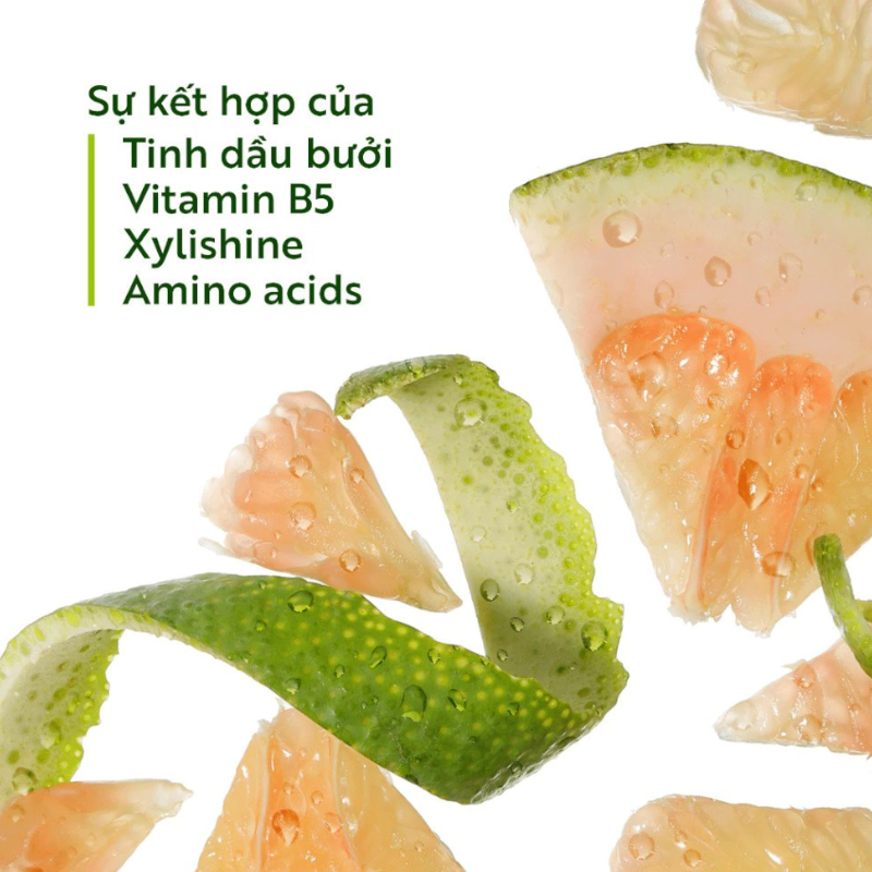 Nguồn sỉ combo Dầu Gội Xả Bưởi Cocoon - Dầu Gội Bưởi Cocoon Pomelo Shampoo 500ml Và Dầu Xả Bưởi Cocoon Pomelo Hair Conditioner 310ml