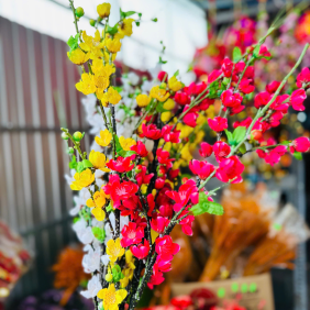 Set 5 CÀNH HOA ĐÀO CỔ - Ngắn - SET5CNH