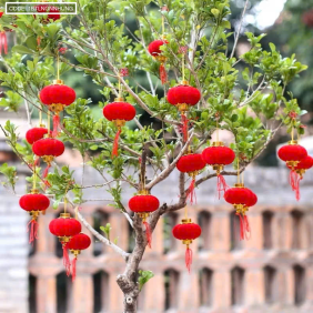 1 Bịt LỒNG ĐÈN NHUNG - Bịch 16 Trái 08 - 1BTLNGNNHUNG