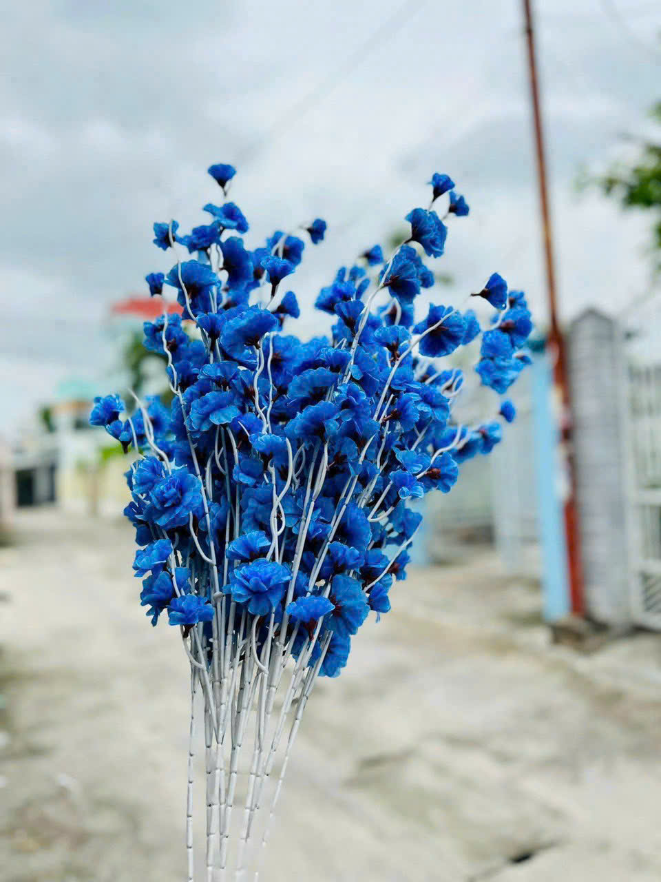 Combo 10 CÀNH ĐÀO RÂU Nhiều Màu Combo 10 CÀNH ĐÀO RÂU Nhiều Màu