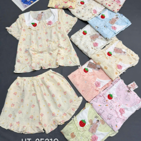 Đồ bộ nữ tay ngắn quần đùi chất cotton hàn không giãn HT-95210 - DBOR0230