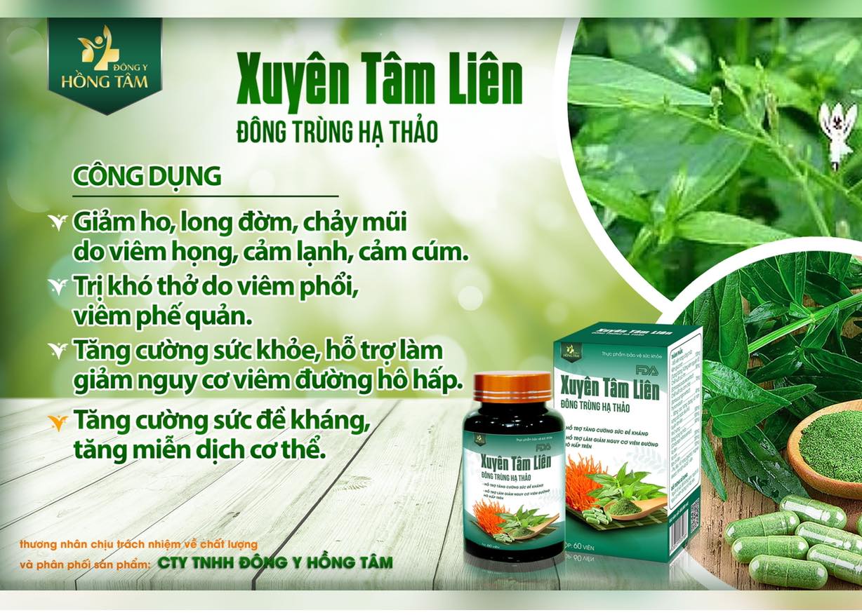 Xuyên tâm liên là từ khóa đc tìm kiếm nhiều nhất hiện nay