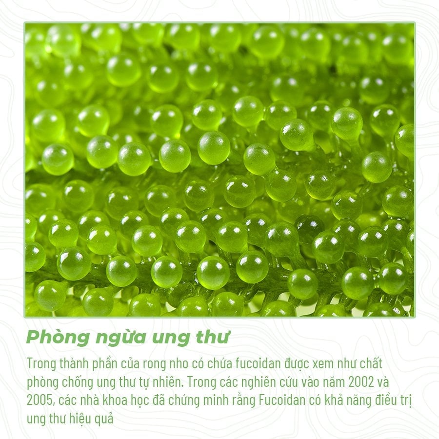 3 tác dụng bất bờ đến từ món quà Rong nho Namiso tặng gia đình