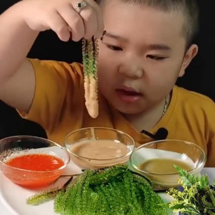 Rong nho Namiso - giúp mẹ giải quyết nỗi lo lười ăn rau của trẻ