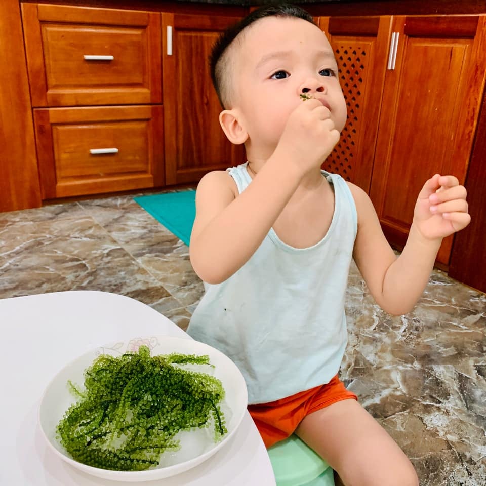 Rong nho Namiso - giúp mẹ giải quyết nỗi lo lười ăn rau của trẻ
