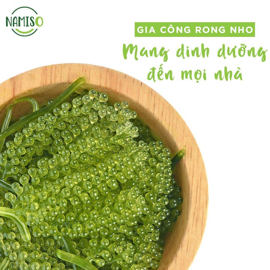 Bổ sung năng lượng mùa hè cùng rong nho NAMISO