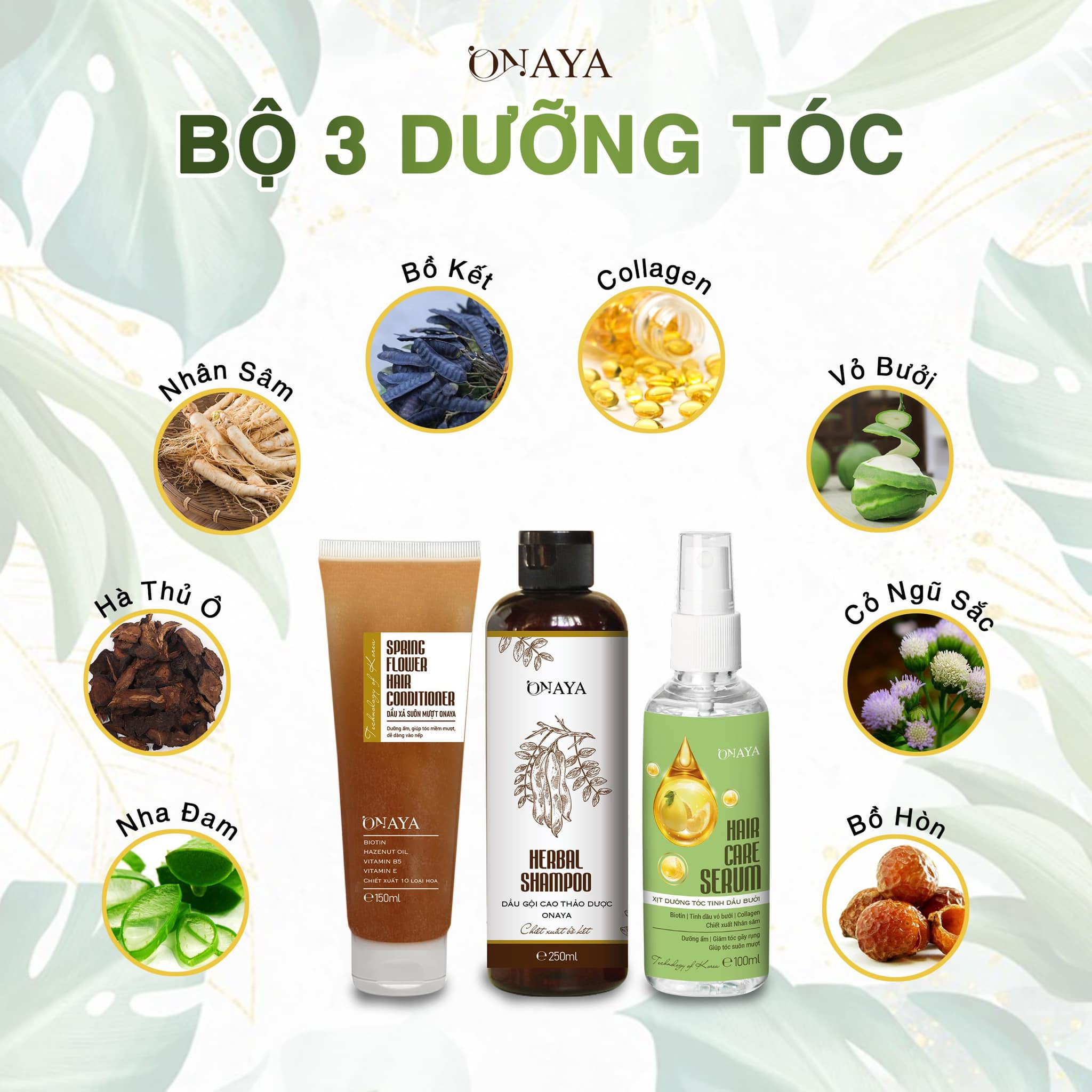 Mái Tóc Khỏe Đẹp Với Dầu Gội Cao Thảo Dược ONAYA