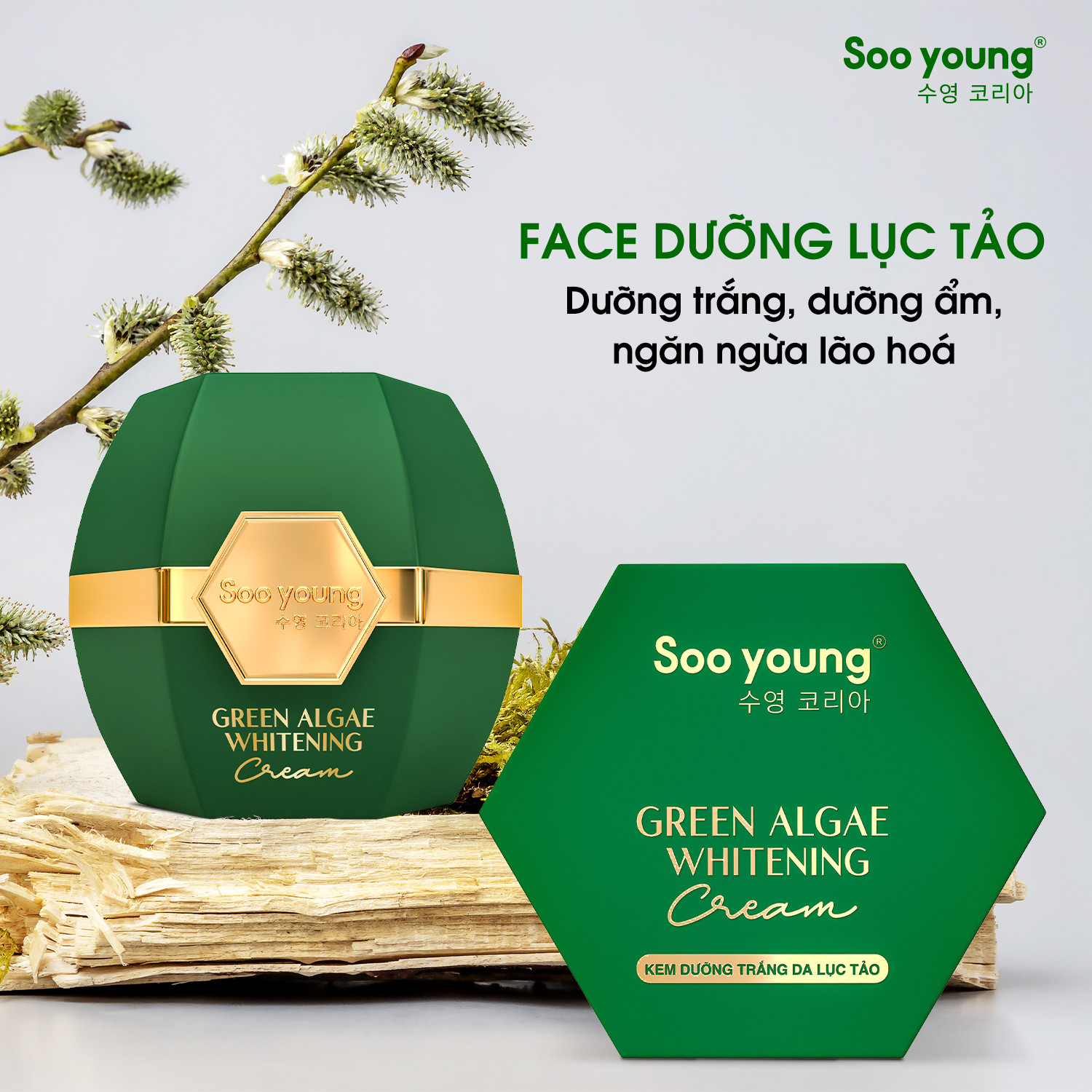 Combo Dưỡng Trắng Da Mờ Thâm Nám Soo Young